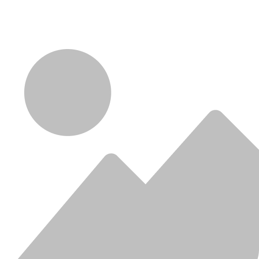 Sassy Fox Boutique  Inc.